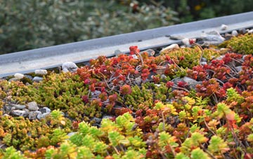 the cost of Staupes green roof installation