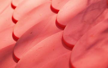 Staupes plastic roof costs