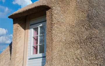 Staupes thatch roof disadvantages