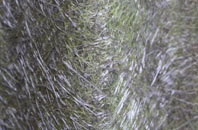 Staupes fibreglass roof work